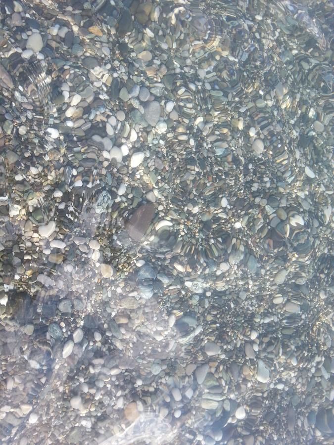 Гостевой дом Гостевой дом Южная Пальмира Пицунда-6