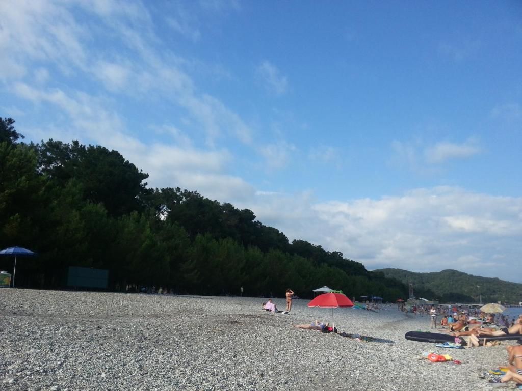 Гостевой дом Гостевой дом Южная Пальмира Пицунда-34