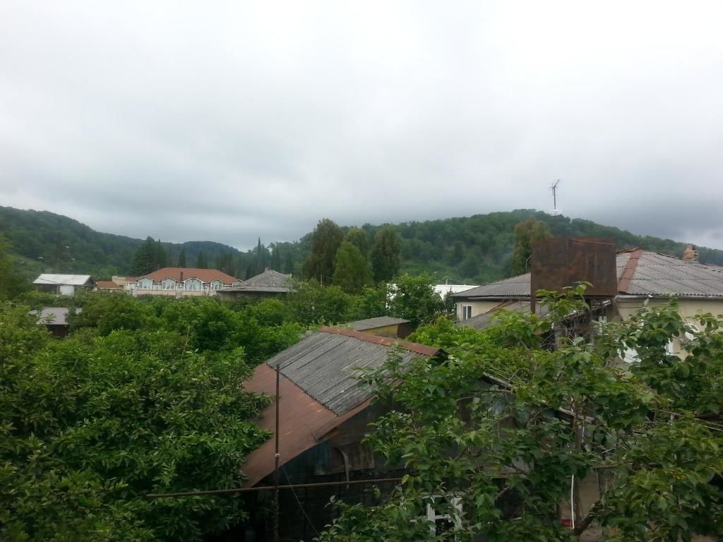 Гостевой дом Гостевой дом Южная Пальмира Пицунда-38