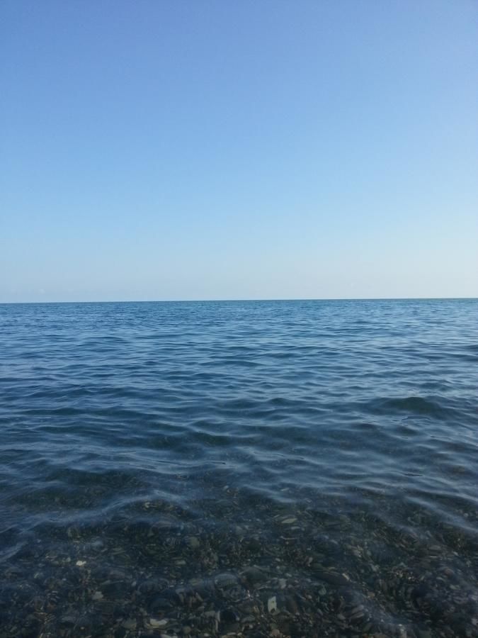 Гостевой дом Гостевой дом Южная Пальмира Пицунда-7