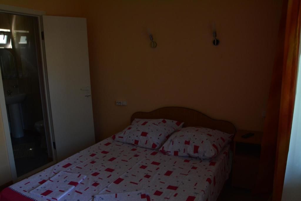 Гостевой дом Гостевой дом Южная Пальмира Пицунда-44