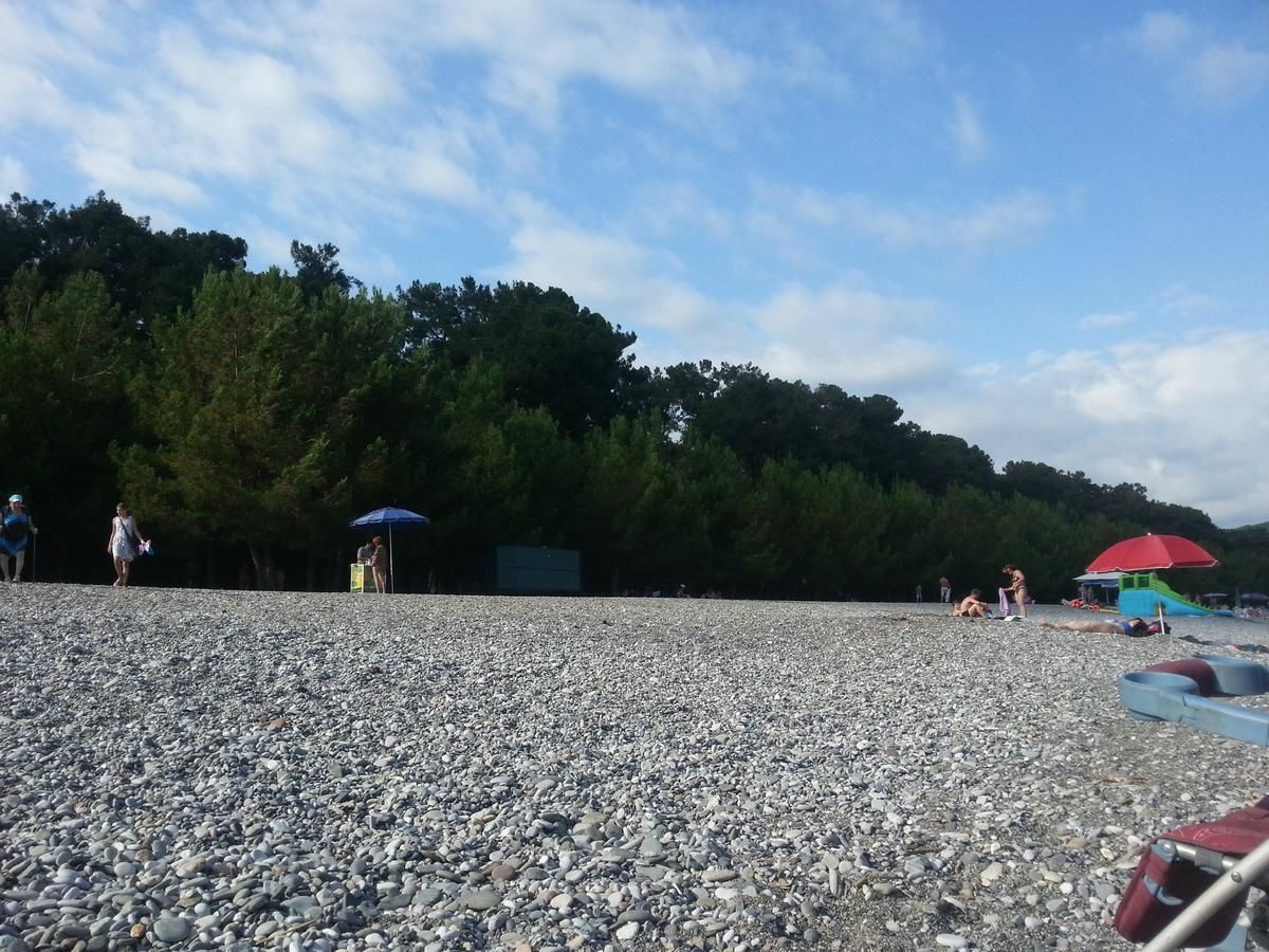 Гостевой дом Гостевой дом Южная Пальмира Пицунда-8