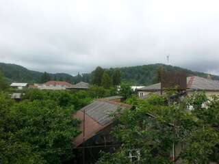 Гостевой дом Гостевой дом Южная Пальмира Пицунда Трехместный номер с видом на горы-5