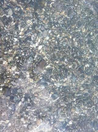 Гостевой дом Гостевой дом Южная Пальмира Пицунда Трехместный номер, вид на сад-1