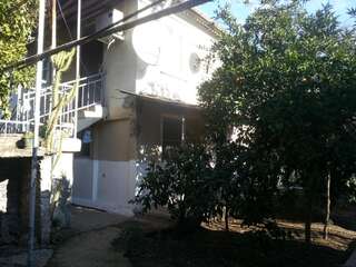 Гостевой дом Гостевой дом Южная Пальмира Пицунда Двухместный номер с 2 отдельными кроватями, вид на сад-9