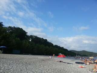 Гостевой дом Гостевой дом Южная Пальмира Пицунда Трехместный номер с видом на горы-13