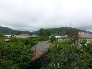 Гостевой дом Гостевой дом Южная Пальмира Пицунда Трехместный номер с видом на горы-17