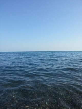 Гостевой дом Гостевой дом Южная Пальмира Пицунда Трехместный номер, вид на сад-2