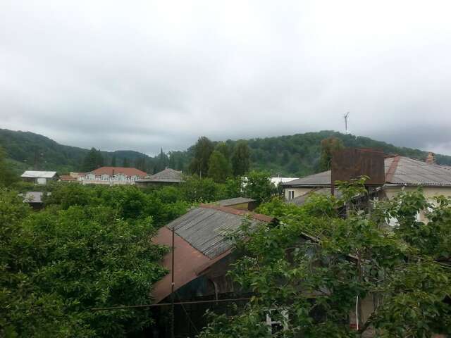 Гостевой дом Гостевой дом Южная Пальмира Пицунда-23