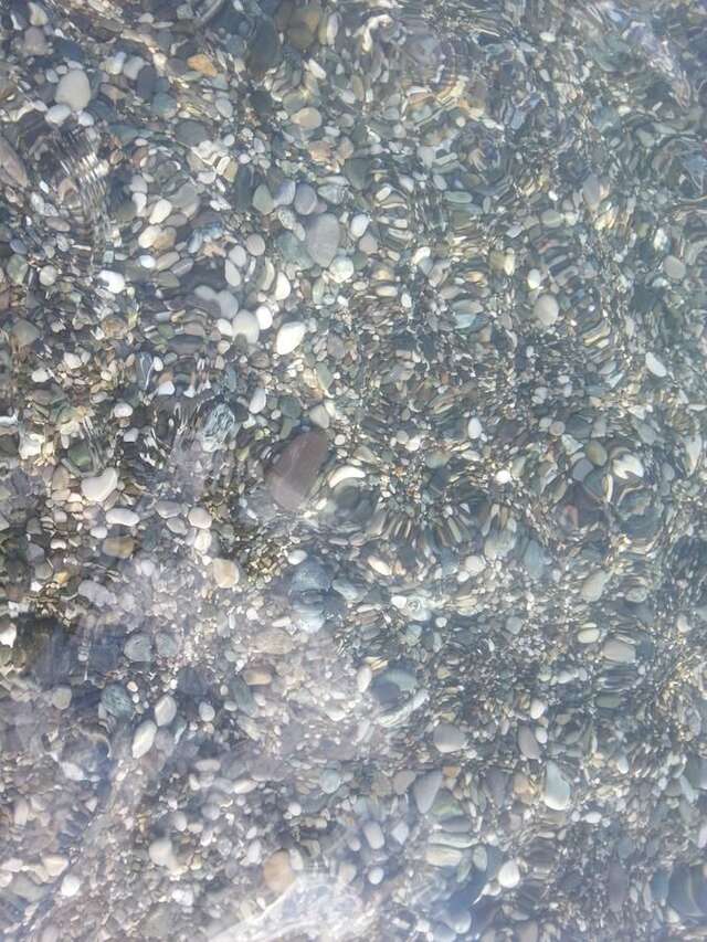 Гостевой дом Гостевой дом Южная Пальмира Пицунда-5