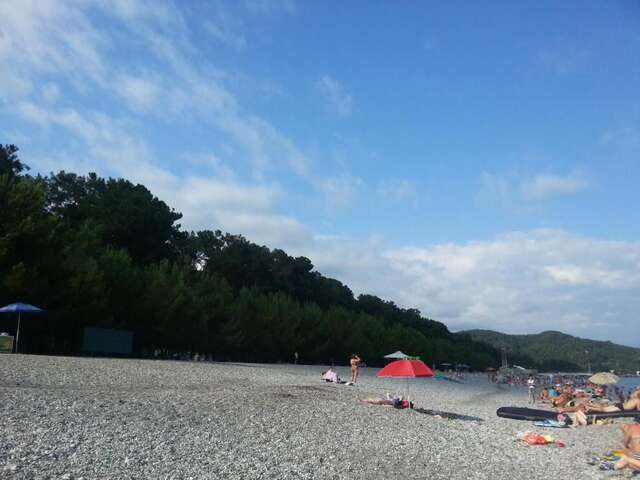 Гостевой дом Гостевой дом Южная Пальмира Пицунда-33