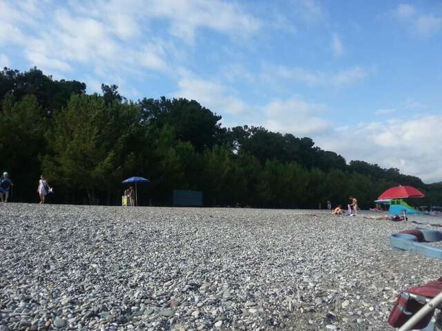 Гостевой дом Гостевой дом Южная Пальмира Пицунда-34