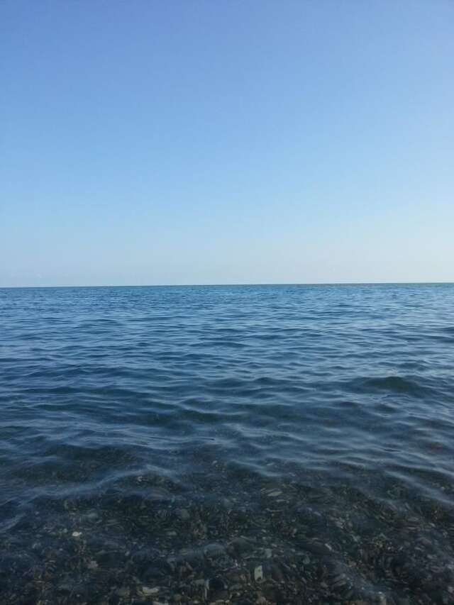 Гостевой дом Гостевой дом Южная Пальмира Пицунда-6