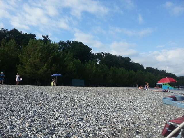 Гостевой дом Гостевой дом Южная Пальмира Пицунда-7